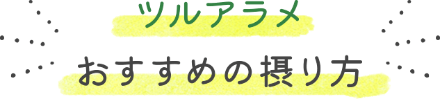 ツルアラメおすすめの摂り方
