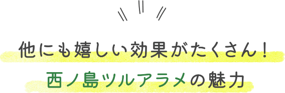 他にも嬉しい効果がたくさん!西ノ島ツルアラメの魅力