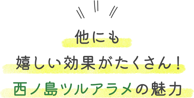 他にも嬉しい効果がたくさん!西ノ島ツルアラメの魅力